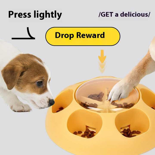 pet food bowls 