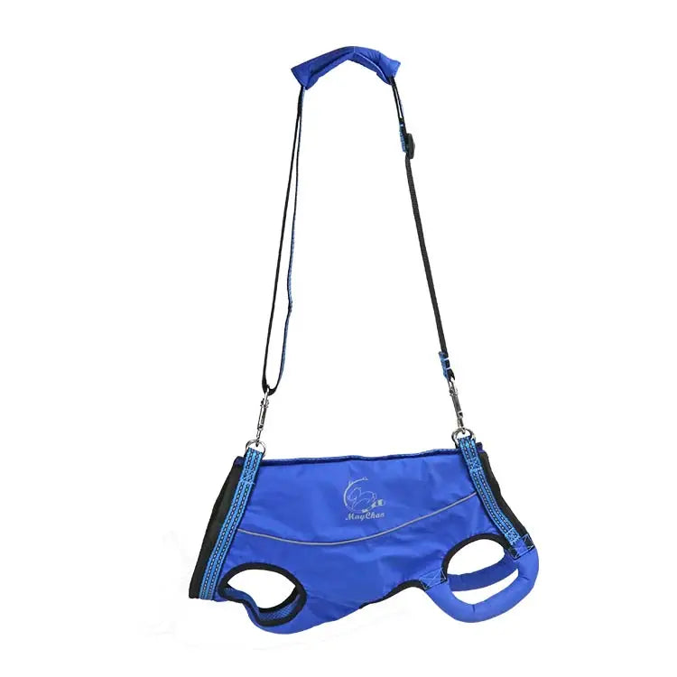 Animal Accessories - Pet Supplies 