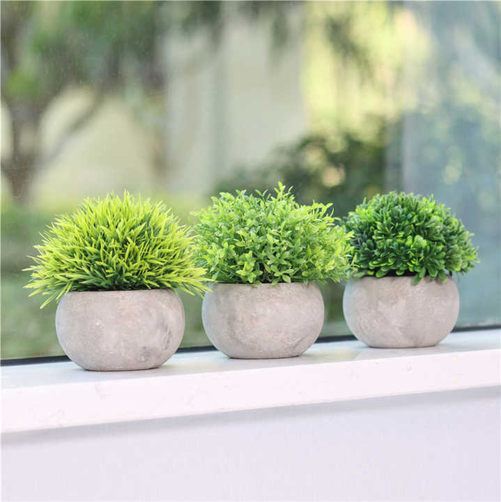 نباتات اصطناعية صغيرة في . Small artificial plants in plastic pots