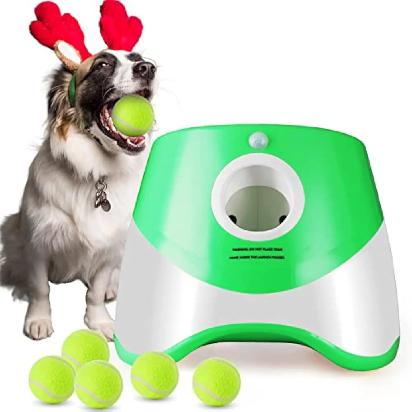 Dog Toys - Pet Accessories 