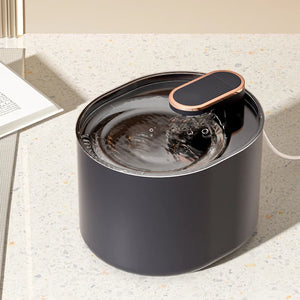 pet water dispenser 