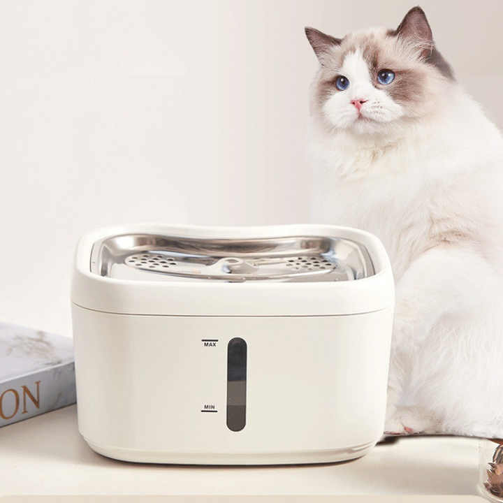 Bowls and feeders. Pet water dispensers, automatic water dispenser for smart dogs. 