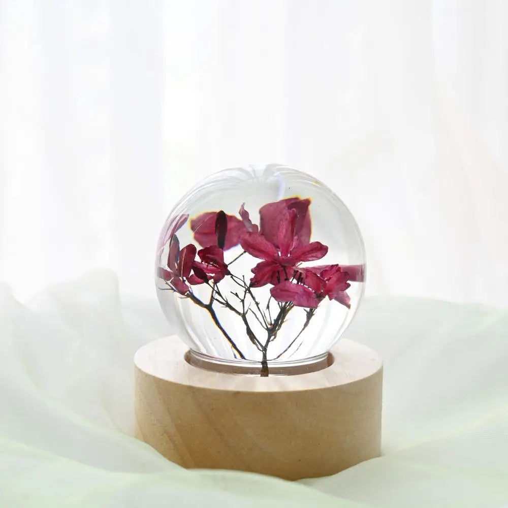 New Gift Set 