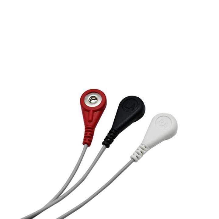 OEM Type D 3 Lead Dynamic ECG Machine 