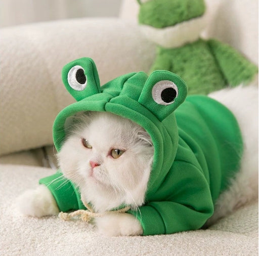 ملابس حيوانات