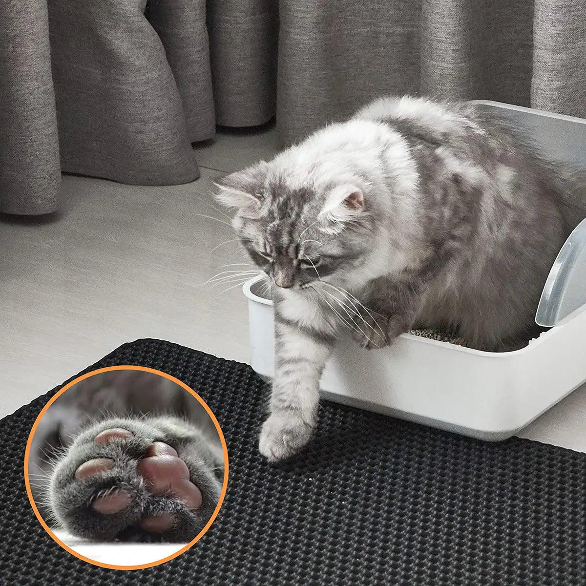Cleaning tools - pet supplies 