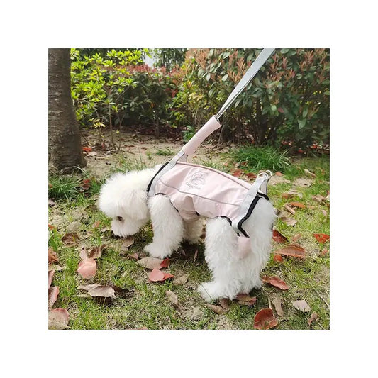 Animal Accessories - Pet Supplies 