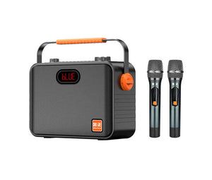 portable microphone 