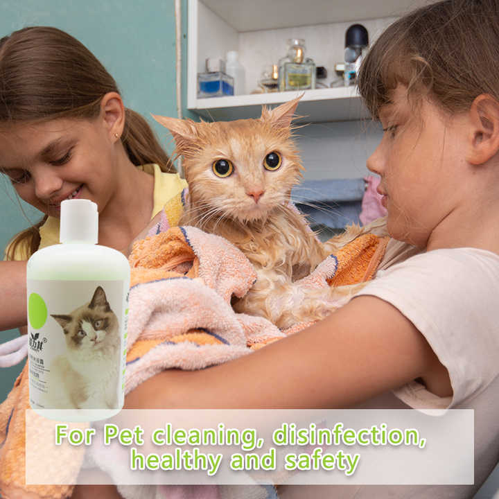 Pet shampoo, clean, natural formula. Cleaning tools. 