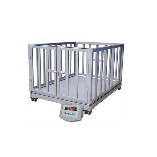 High Quality Cattle Scale - Medical Supplies 
