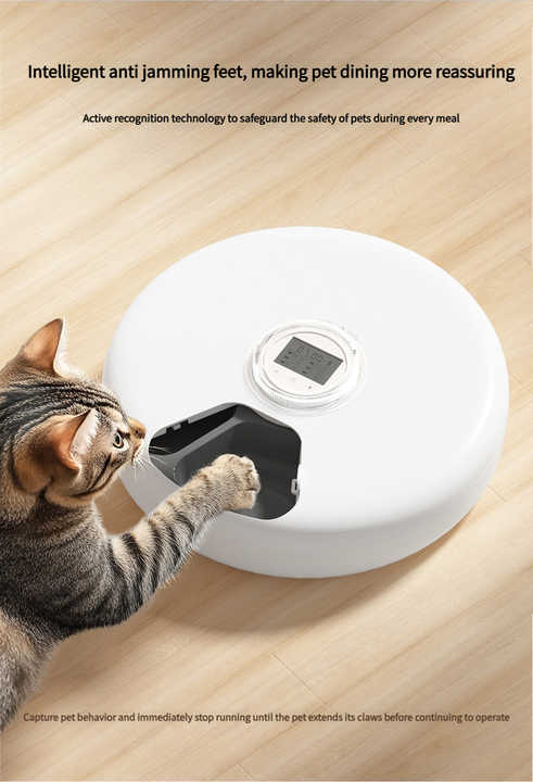 Best-selling 6-meat automatic cat feeders, bowls, and feeders. 