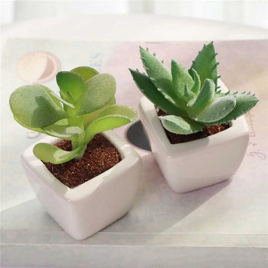 مجموعة من 4 نباتات عصارية زهور صناعيه .