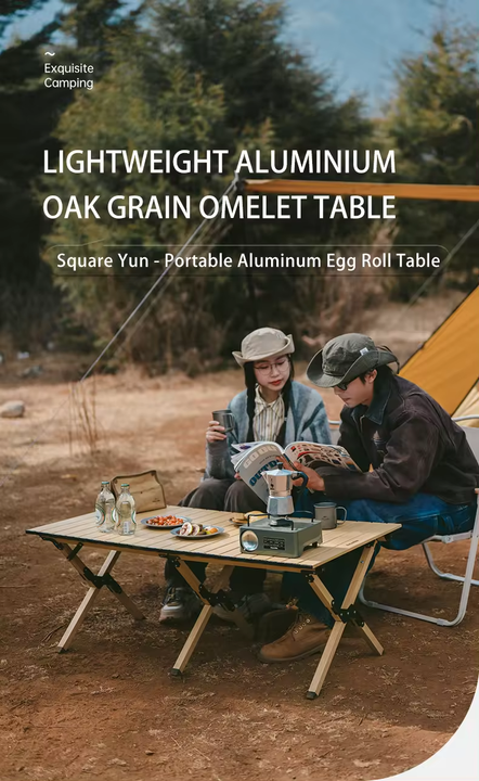 Portable Aluminum Alloy Egg-Shaped Turntable 