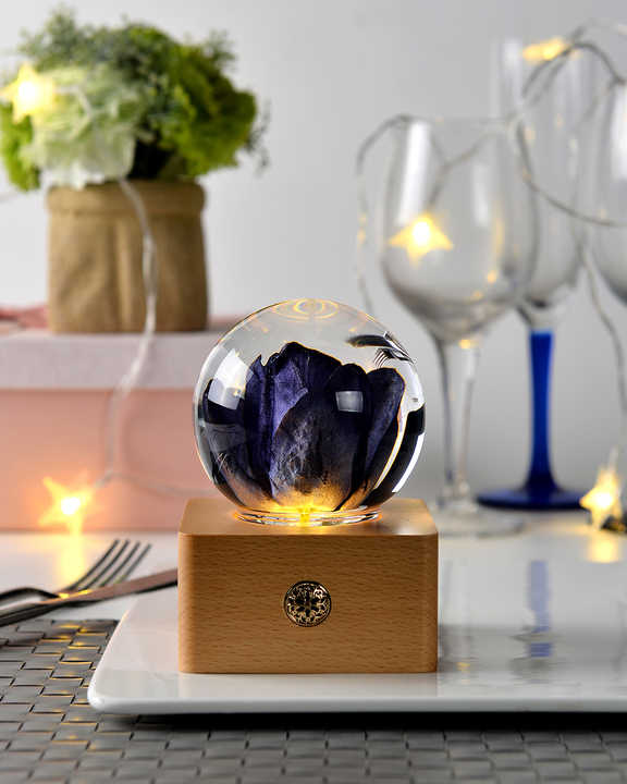 Unique Hot Item Novelty Gifts-ضاءة ليلية