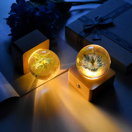 Unique Hot Item Novelty Gifts-ضاءة ليلية