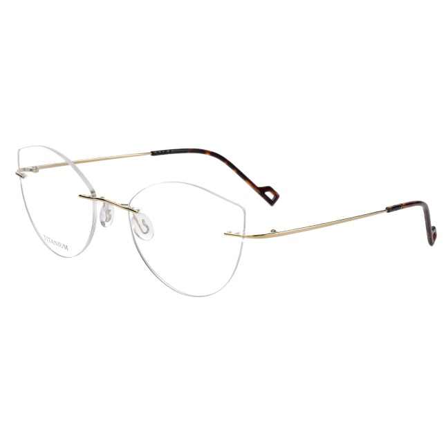 eyeglasses 