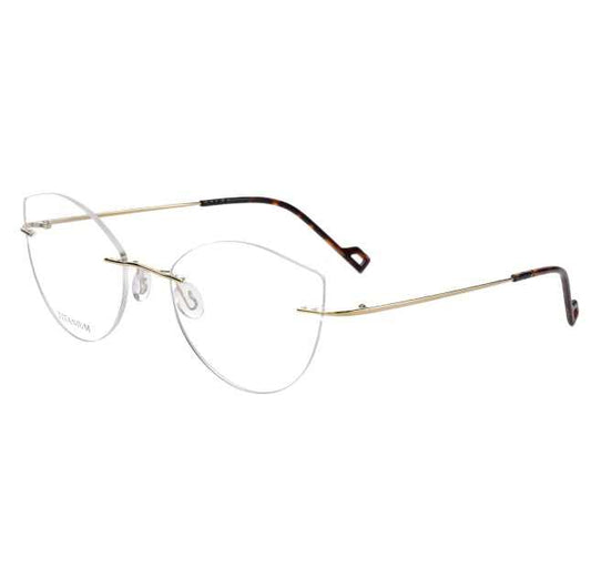 eyeglasses 
