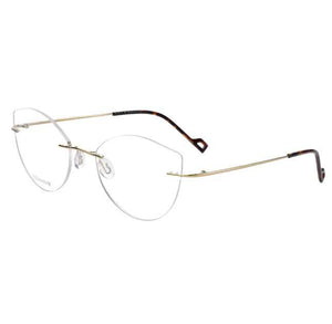 eyeglasses 