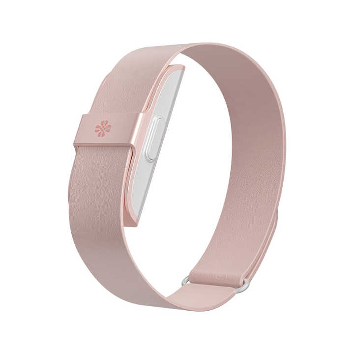 Smart Watch Band Model