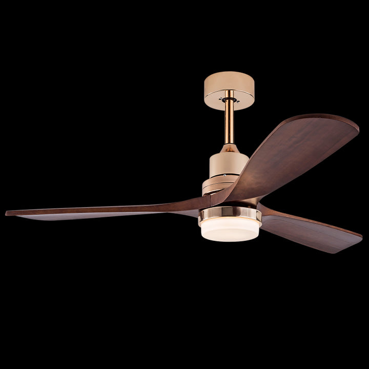 Interior lighting and ceiling fan 