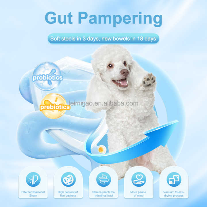 Improve Intestinal Immunity Samples Pet Food Adult Puppy Pet Treats Regulate Bowel Plants Dry Dog Food 