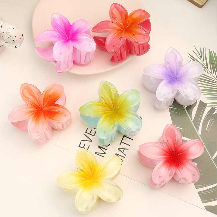 مشبك شعر شفاف - Hair Clip