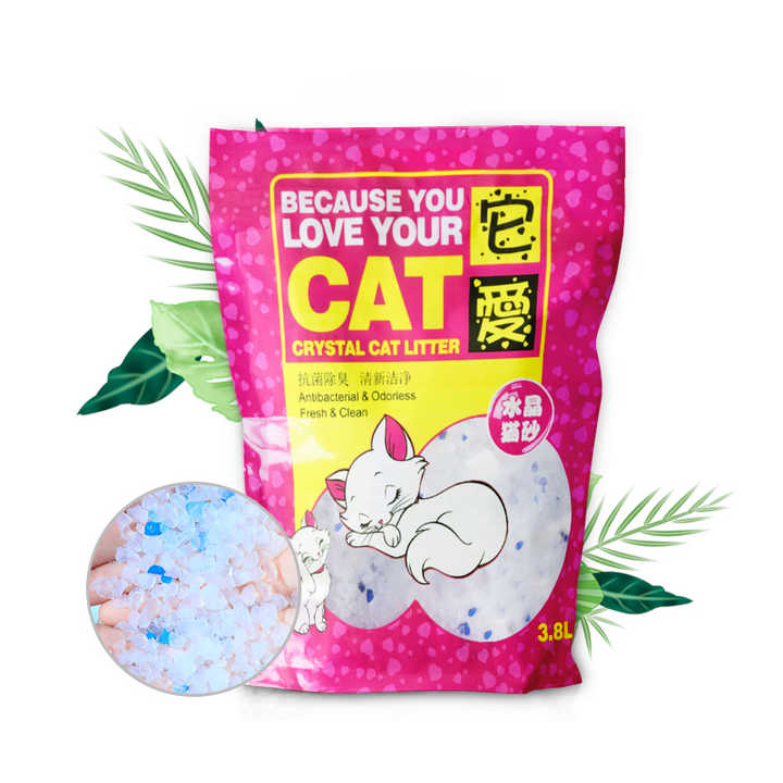 Sincere Large Discounts Cat-كبيرة صادقة