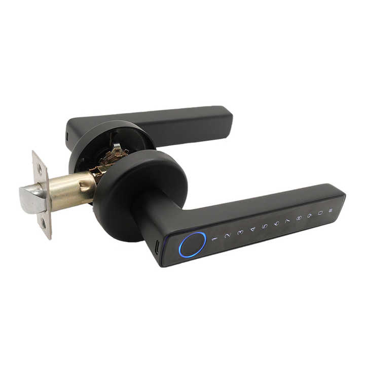 Digital electronic fingerprint arm 