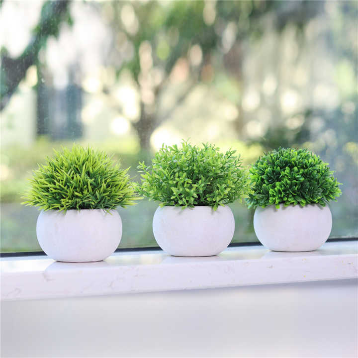 نباتات بلاستيكية اصطناعية صغيرة -artificial plastic plants