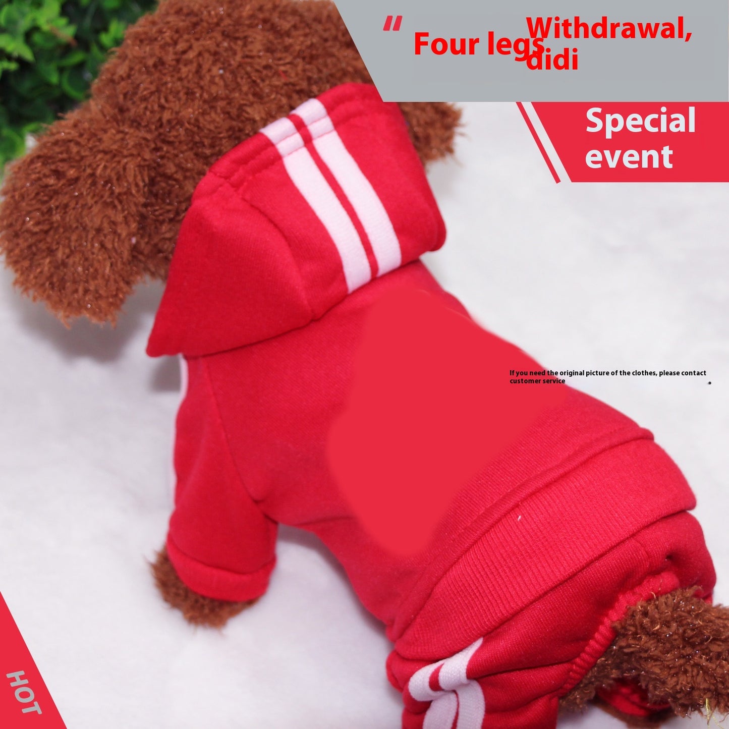 ملابس حيوانات