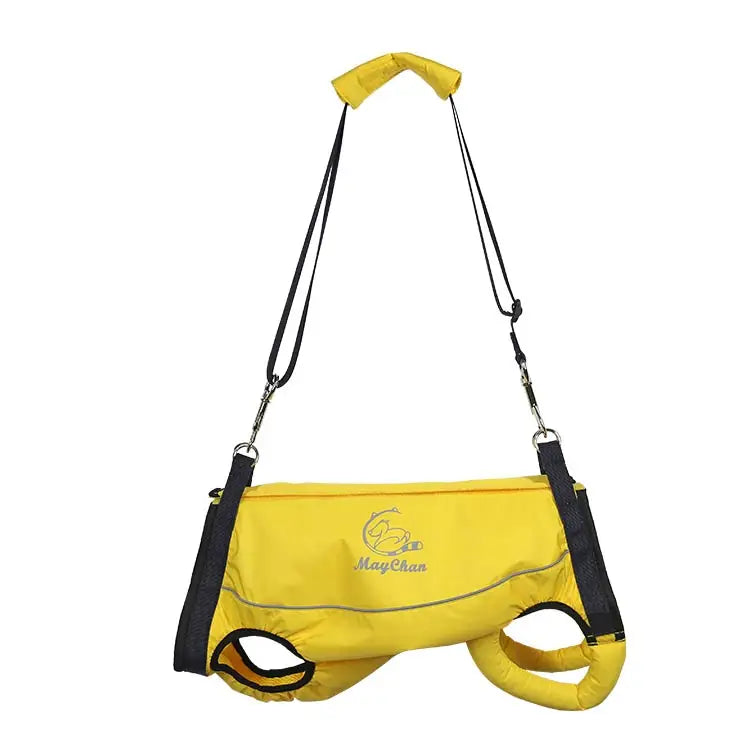 Animal Accessories - Pet Supplies 