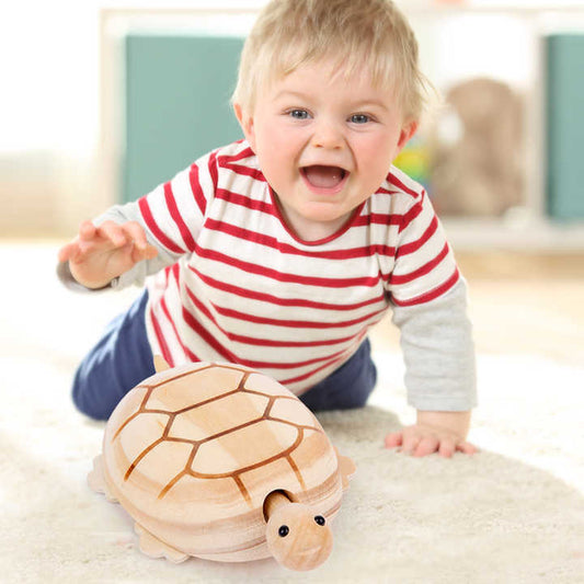 Turtle entertainment games 