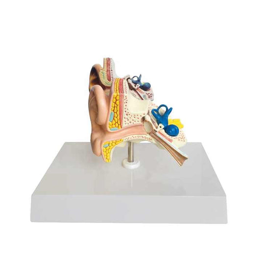Medical devices for medical science model 