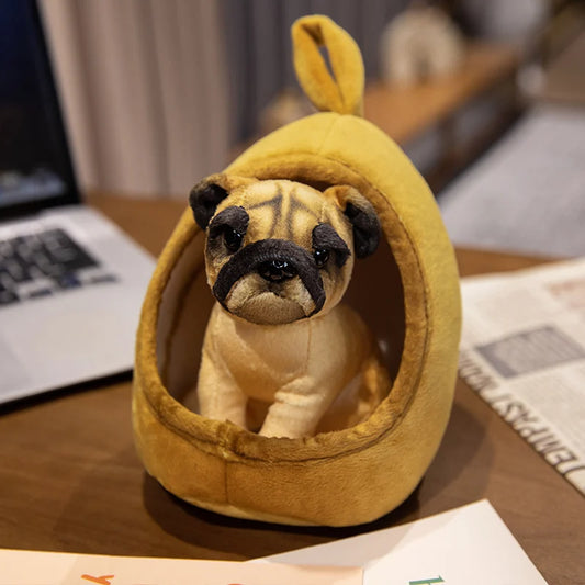 New Cat Litter Toys Pet Accessories 