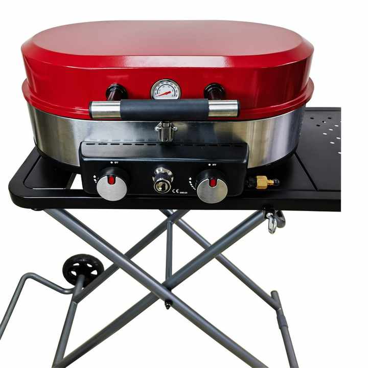 Portable Gas Grill 2 Burner Camping 