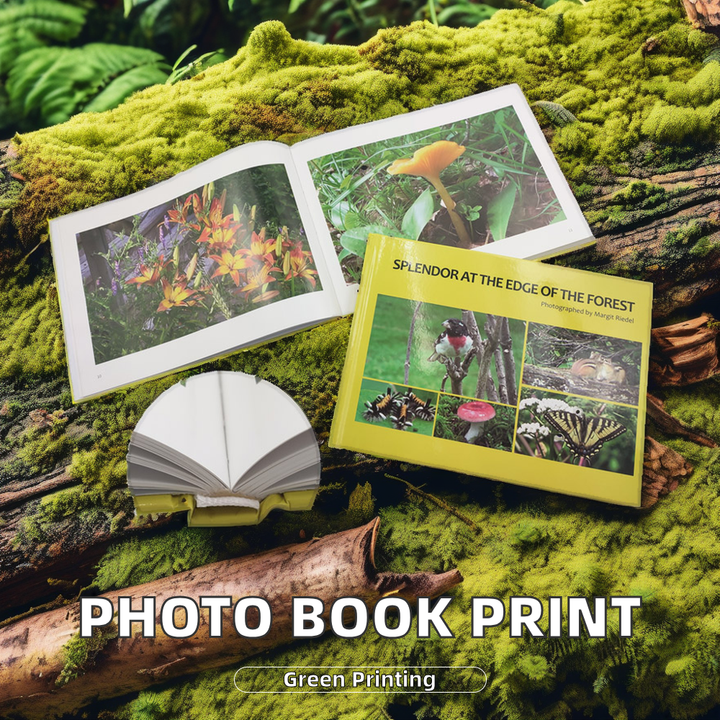 Art photo album