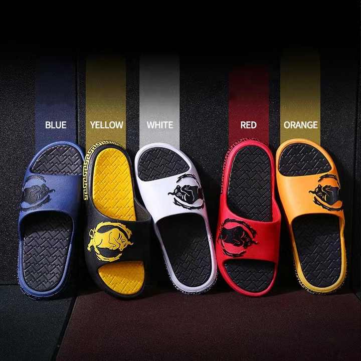 New style of fashionable slippers 