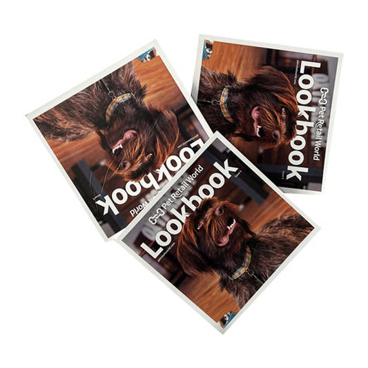 Fashion Educational Books / Fashion Catalogs 