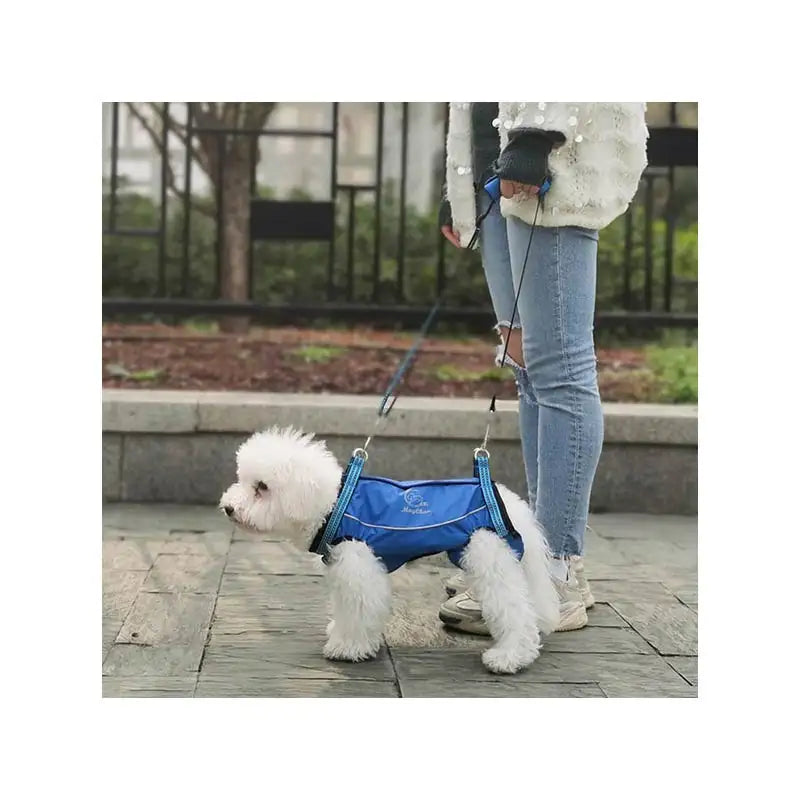 Animal Accessories - Pet Supplies 