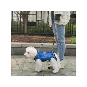 Animal Accessories - Pet Supplies 