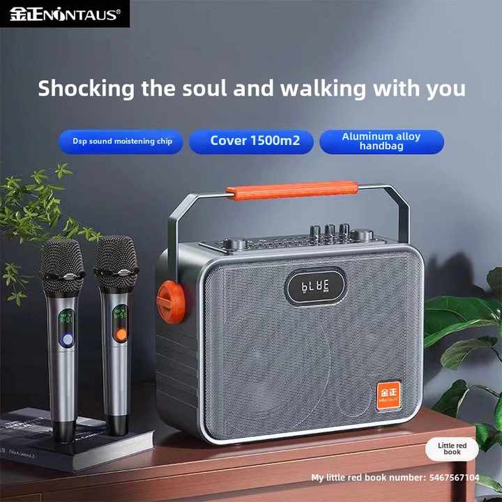 portable microphone 