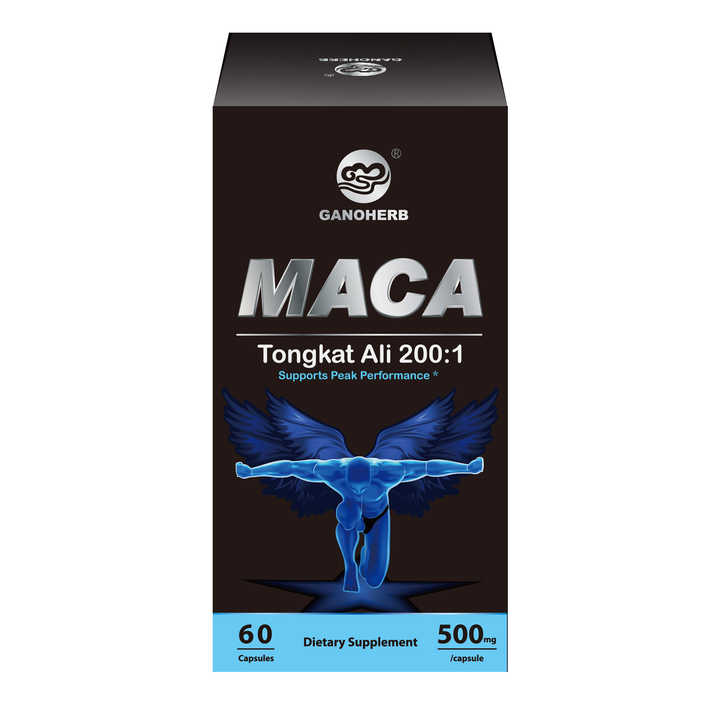 Ganoherb High Quality Organic Tugka Ali and Maca Capsules Om Herbal Supplement for Men Private Label Bulk Supply 