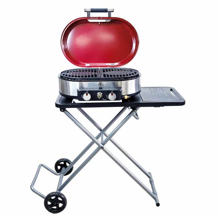 Portable Gas Grill 2 Burner Camping 