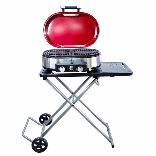 Portable Gas Grill 2 Burner Camping 