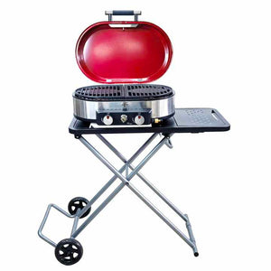 Portable Gas Grill 2 Burner Camping 