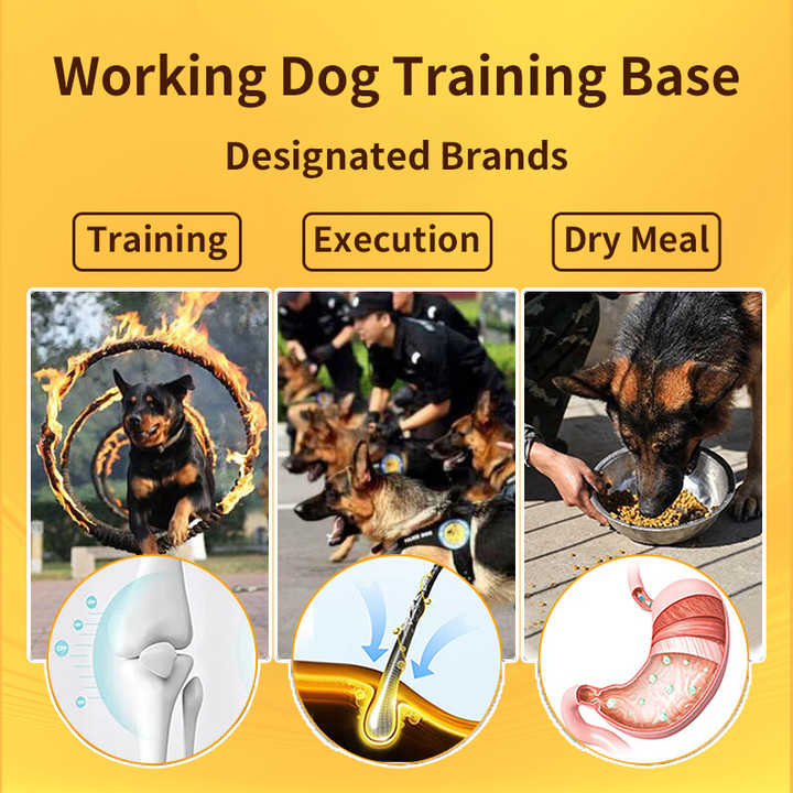 OEM pet rabbit g OEM wholesale from factory high protein food premium natural dry dog ​​food 