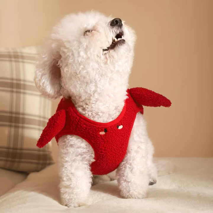 Animal Accessories - Dog Clothes 