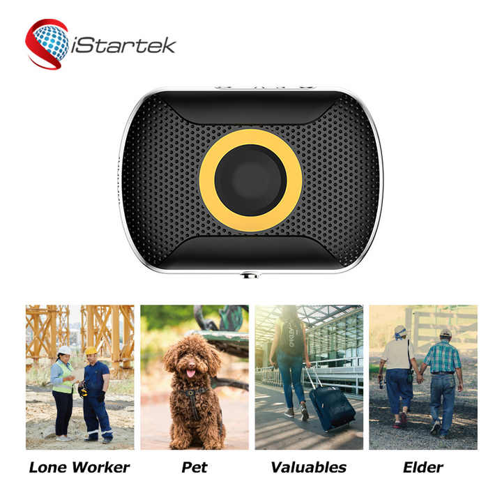 Animal Accessories - Pet Supplies 