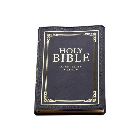 Holy Bible-الأرض المقدسة