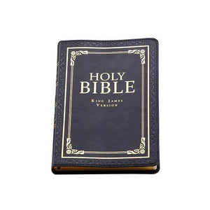 Holy Bible-الأرض المقدسة